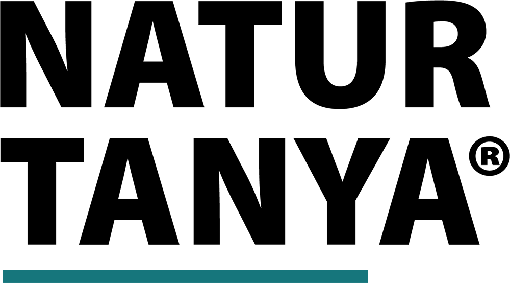 NT_logo_png